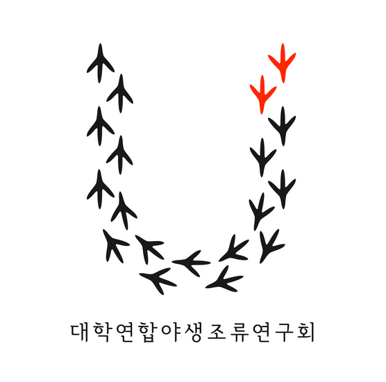 서울대학교 야생조류연구회 버들